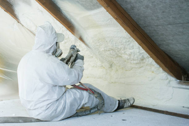 Best Thermal Imaging for Insulation Gaps in St Charles, IL